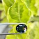 Cobolt Spinel